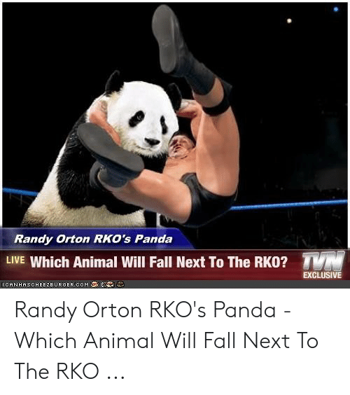 Jolly reccomend kung panda loses girl fight