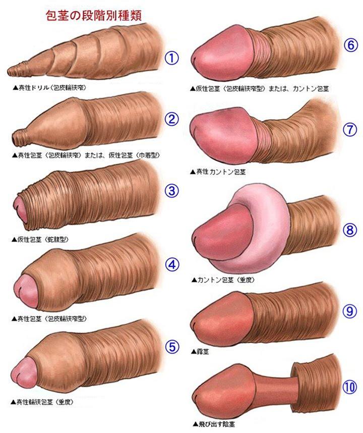 best of Types dicks different