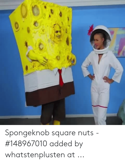 Spongeknob square nuts