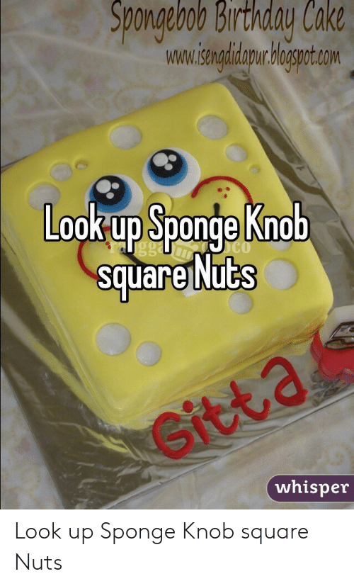 Green T. recommend best of nuts spongeknob square
