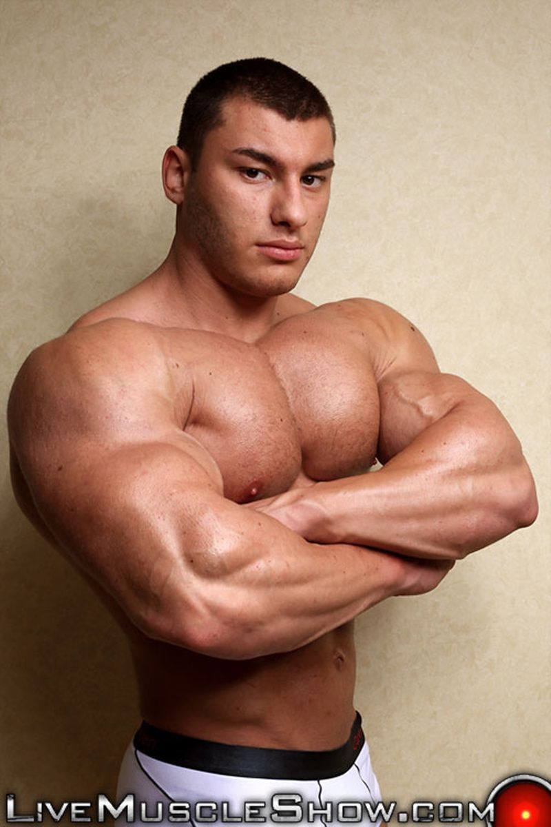 Biggest biceps