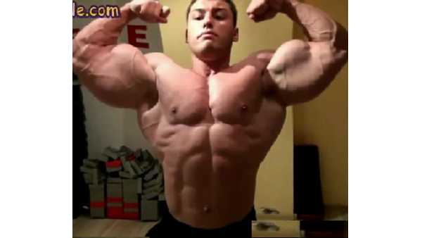 best of Stud worship muscle